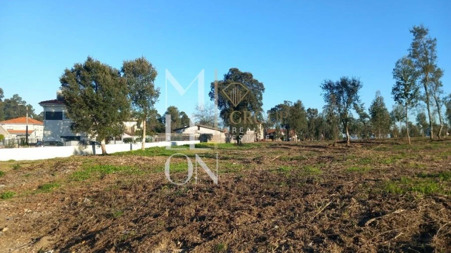 Terreno para Venda em Oliveira do Douro Foto 14