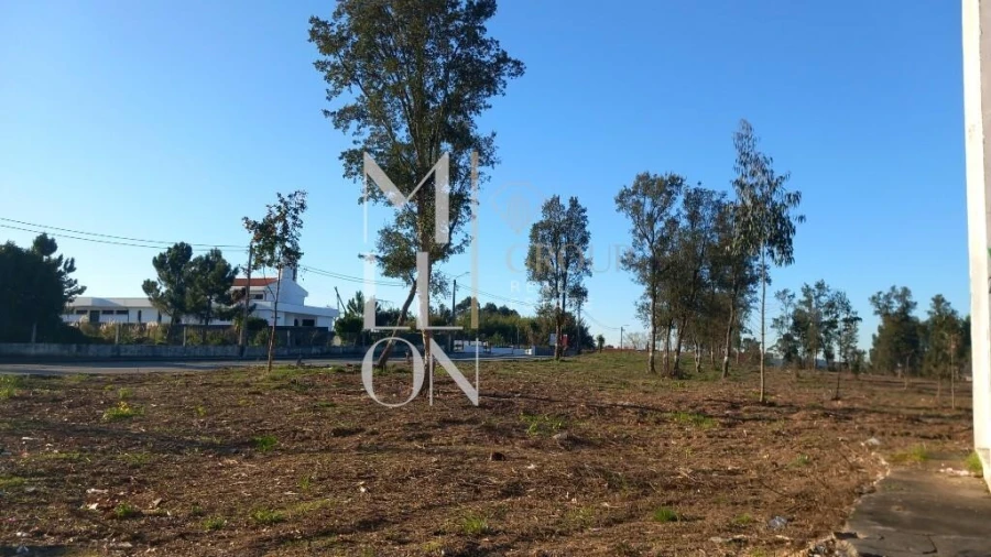 Terreno para Venda em Oliveira do Douro Foto 13