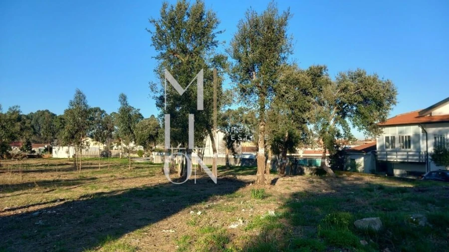 Terreno para Venda em Oliveira do Douro Foto 12
