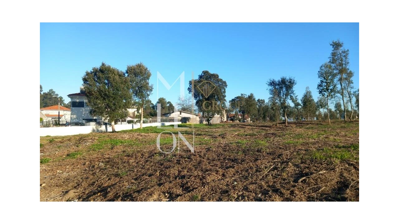 Terreno para Venda em Oliveira do Douro Foto 14