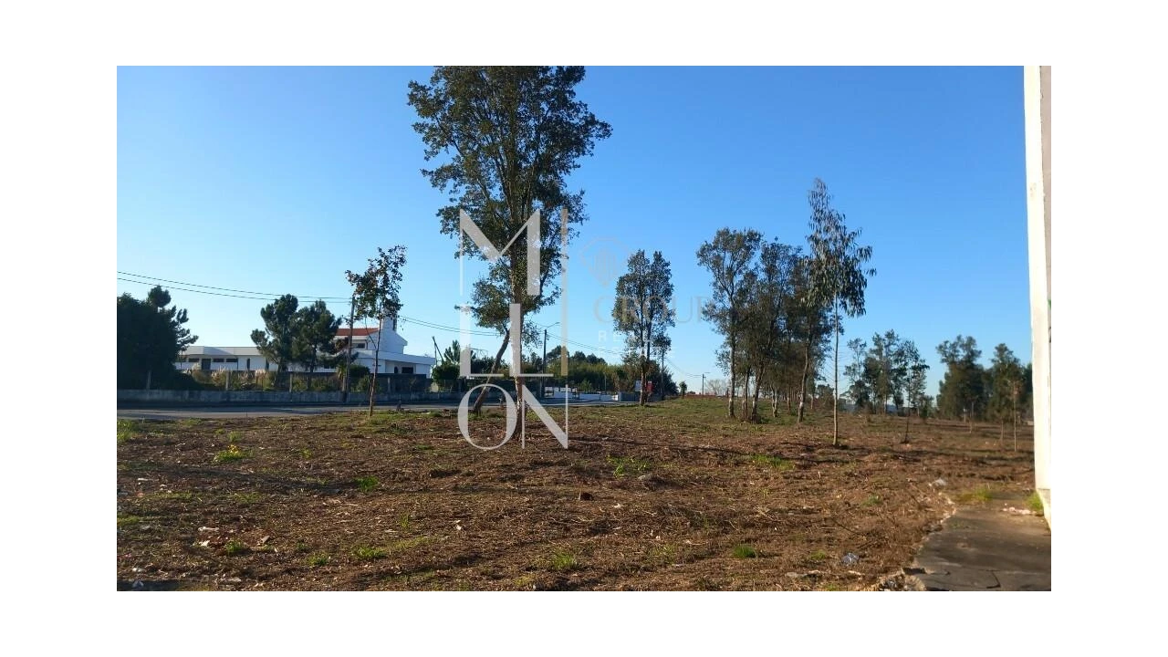 Terreno para Venda em Oliveira do Douro Foto 13