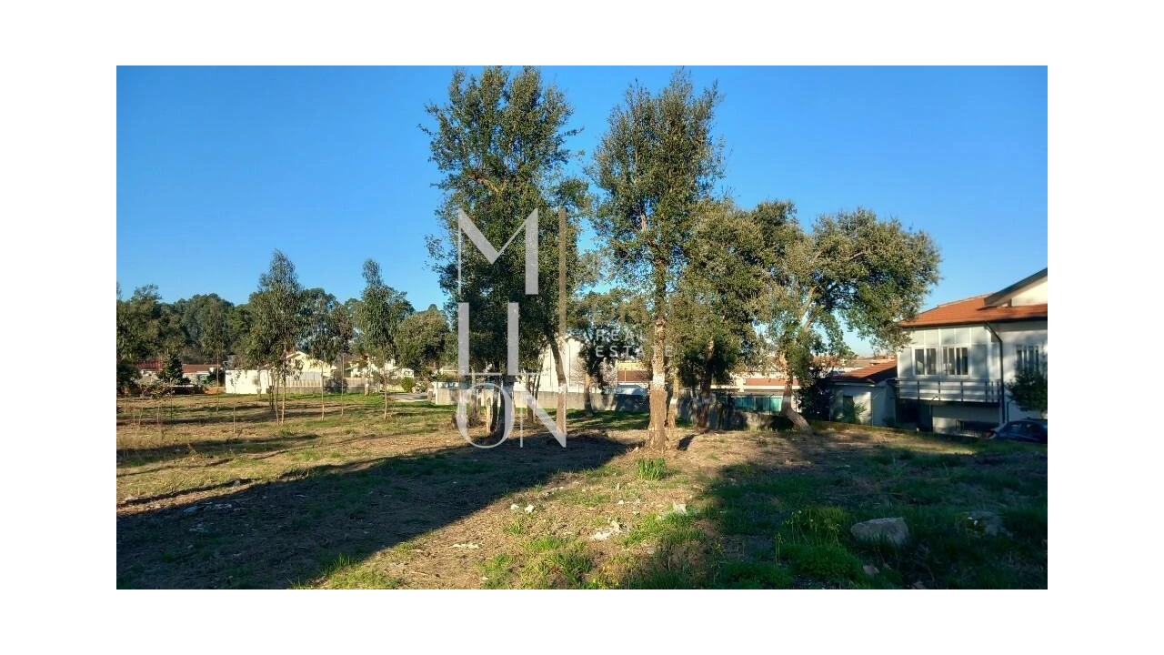 Terreno para Venda em Oliveira do Douro Foto 12