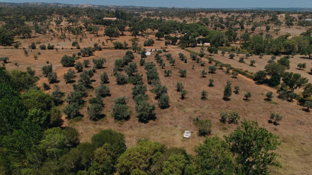 Moradia T3 para Venda em Cercal Foto 9