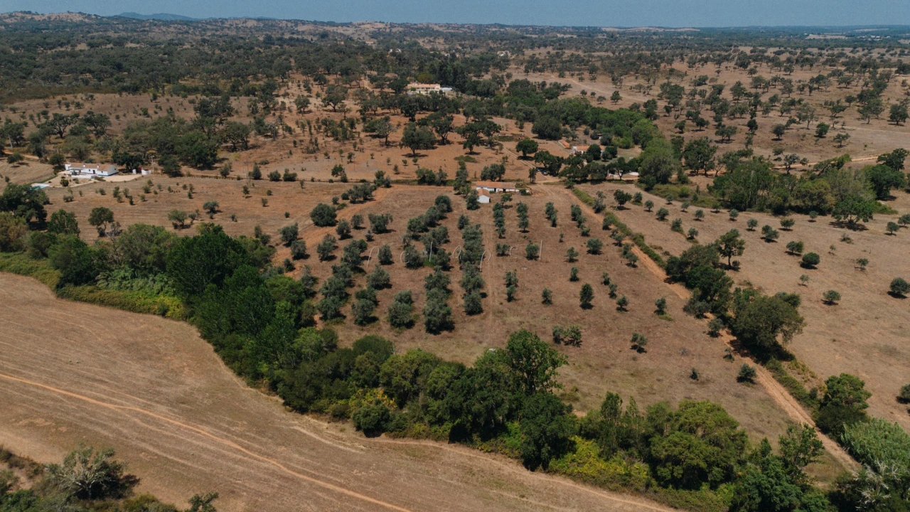 Moradia T3 para Venda em Cercal Foto 10