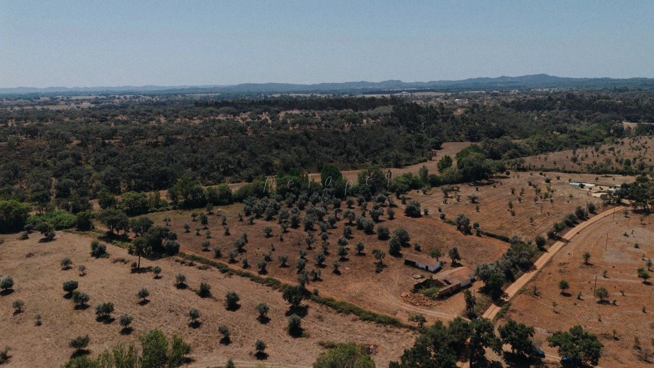 Moradia T3 para Venda em Cercal Foto 1