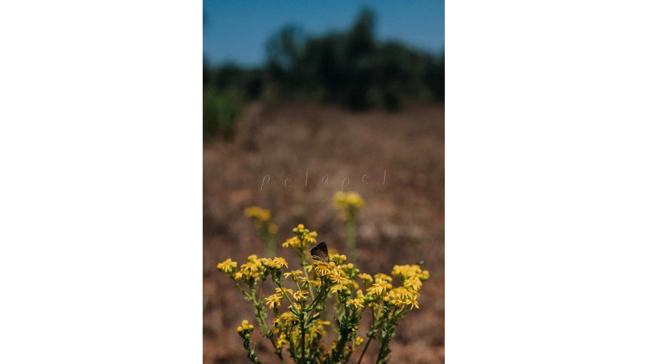 Moradia T3 para Venda em Cercal Foto 26