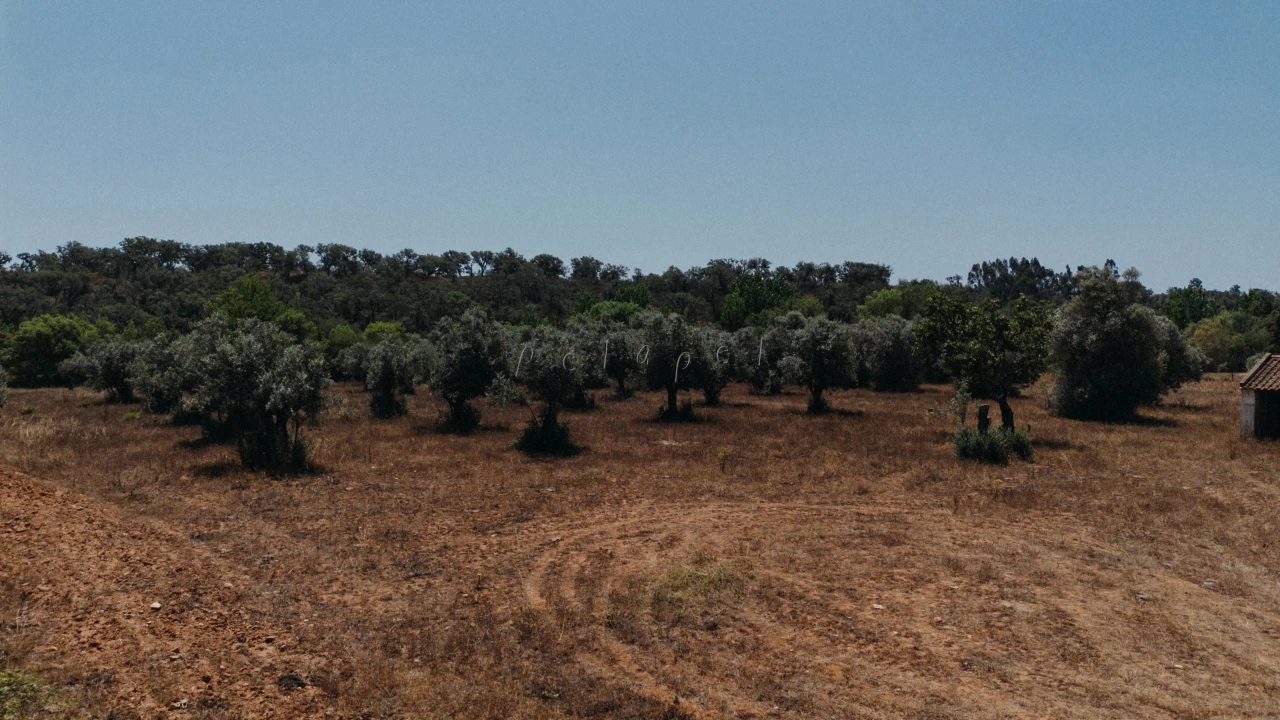 Moradia T3 para Venda em Cercal Foto 15