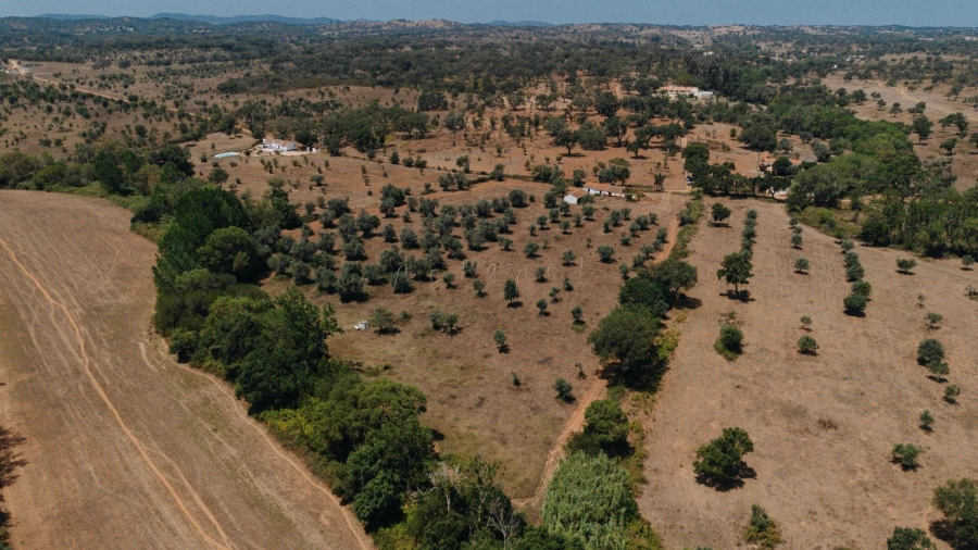 Moradia T3 para Venda em Cercal Foto 11