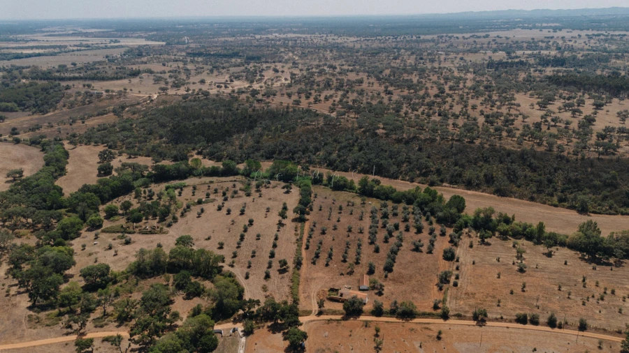 Moradia T3 para Venda em Cercal Foto 3