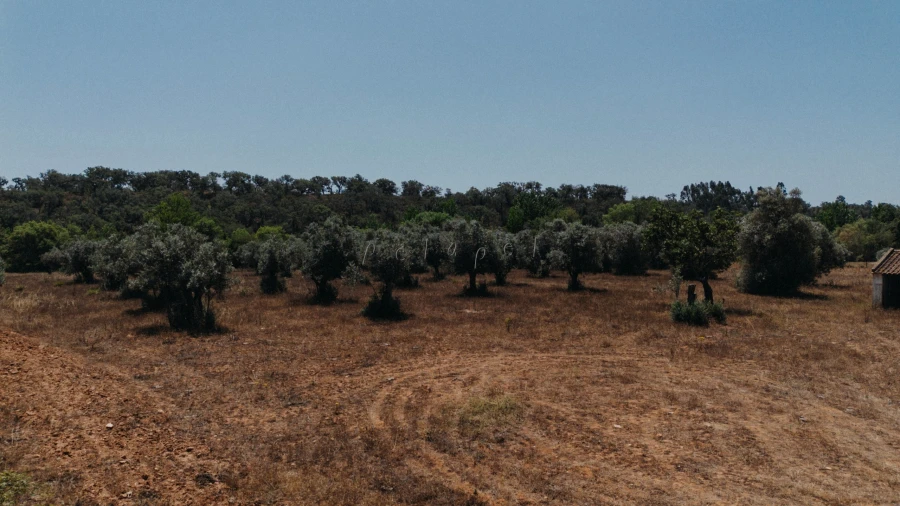 Moradia T3 para Venda em Cercal Foto 15