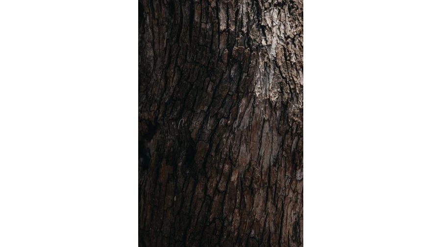 Moradia T3 para Venda em Cercal Foto 23