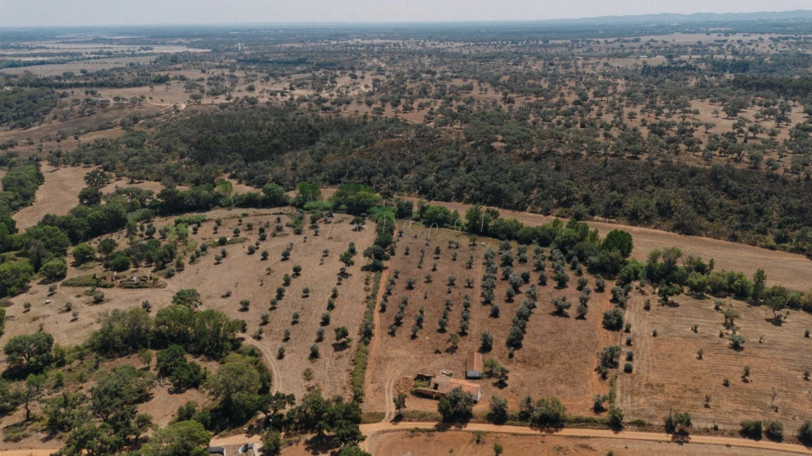 Moradia T3 para Venda em Cercal Foto 2