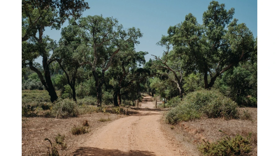 Moradia T3 para Venda em Cercal Foto 17