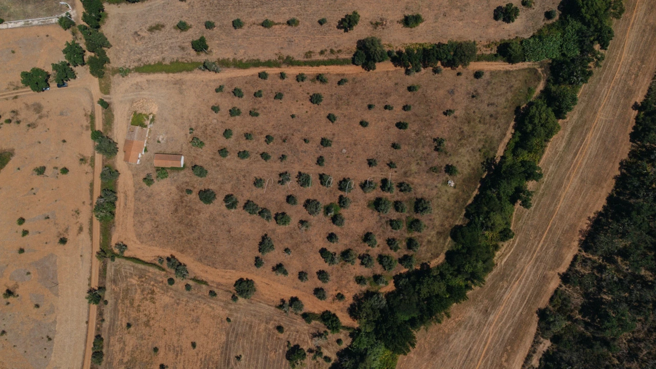 Moradia T3 para Venda em Cercal Foto 8