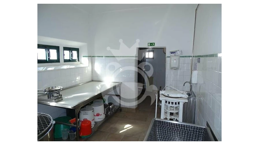 Negócio para Venda em Redondo Foto 13