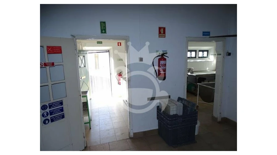 Negócio para Venda em Redondo Foto 11