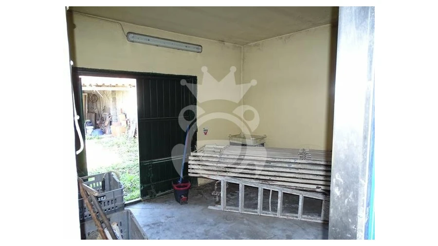 Negócio para Venda em Redondo Foto 20