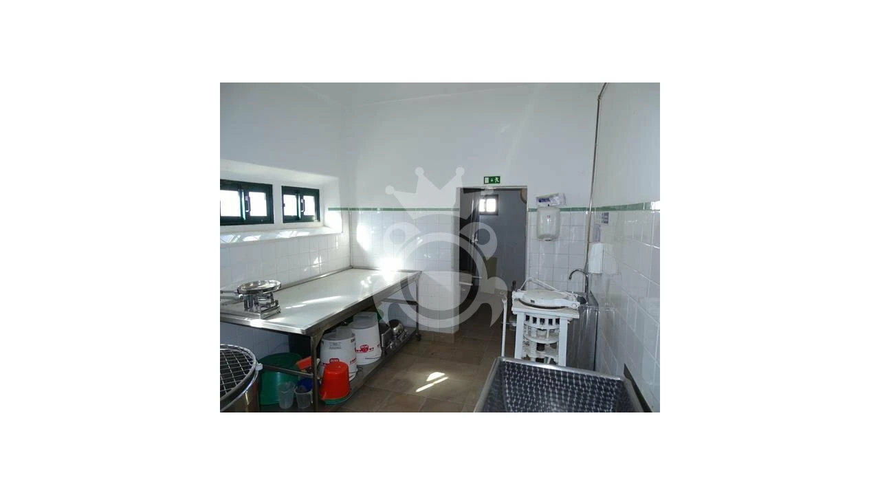 Negócio para Venda em Redondo Foto 13