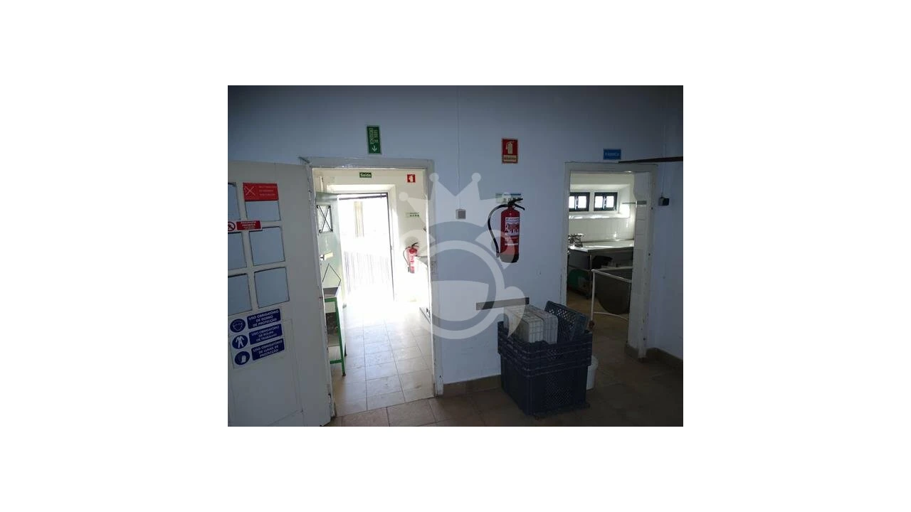 Negócio para Venda em Redondo Foto 11