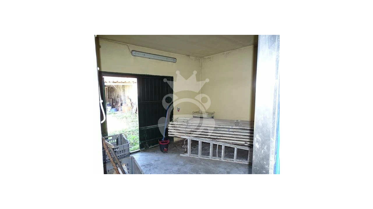 Negócio para Venda em Redondo Foto 20