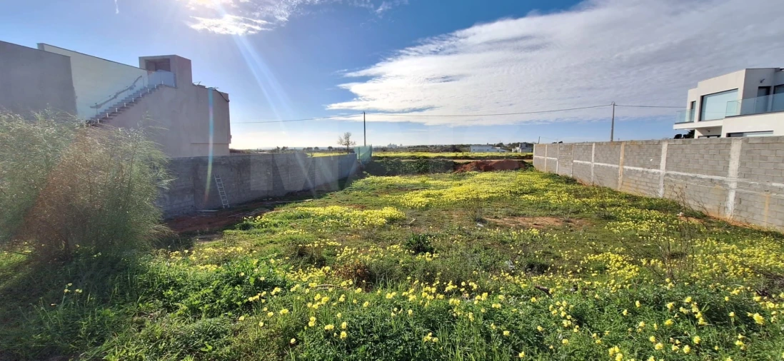 Terreno para Venda em Alcantarilha e Pêra Foto 12