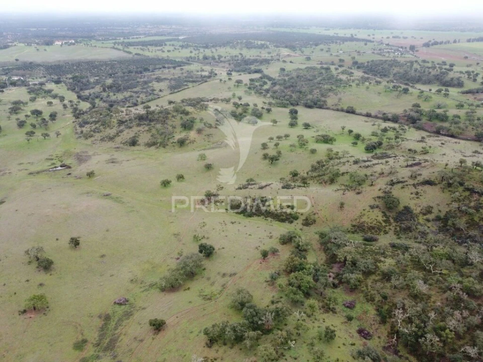 Quinta para Venda em Colos Foto 15