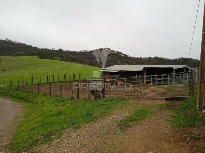 Quinta para Venda em Colos Foto 9