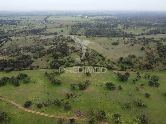 Quinta para Venda em Colos Foto 13