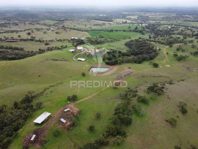 Quinta para Venda em Colos Foto 10