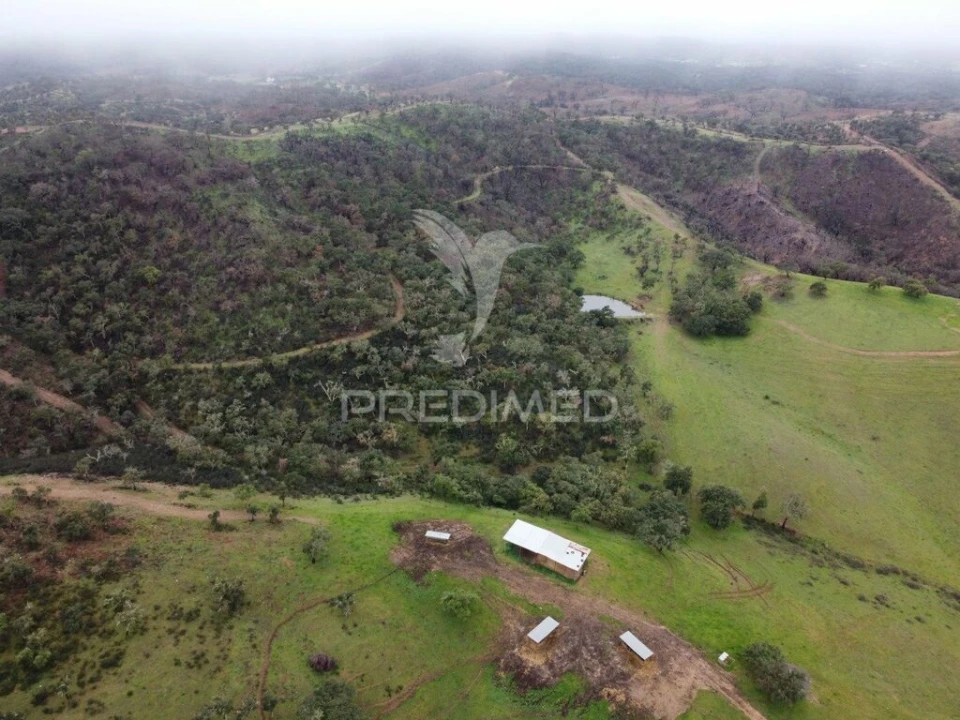 Quinta para Venda em Colos Foto 20