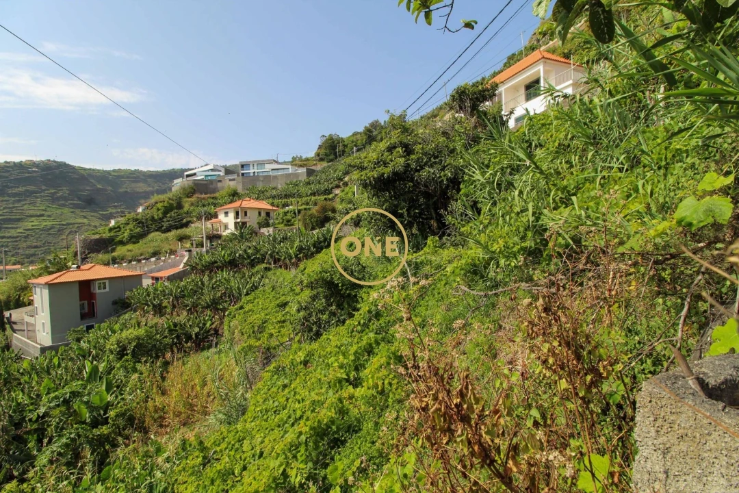 Terreno para Venda em Tabua Foto 6