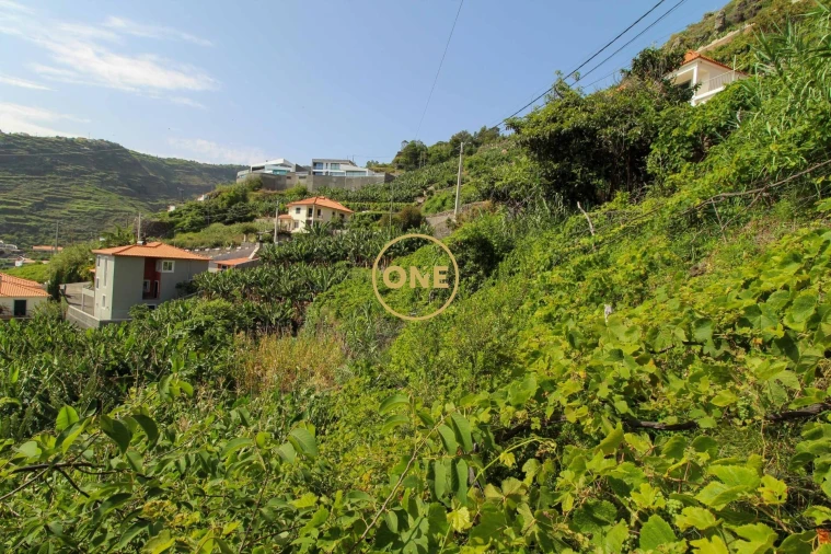 Terreno para Venda em Tabua Foto 7