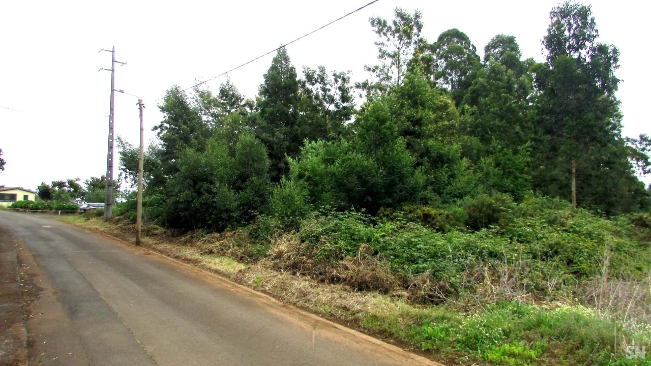Terreno para Venda em São Jorge Foto 2