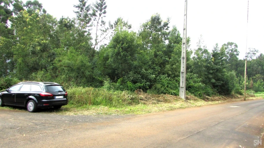 Terreno para Venda em São Jorge Foto 5