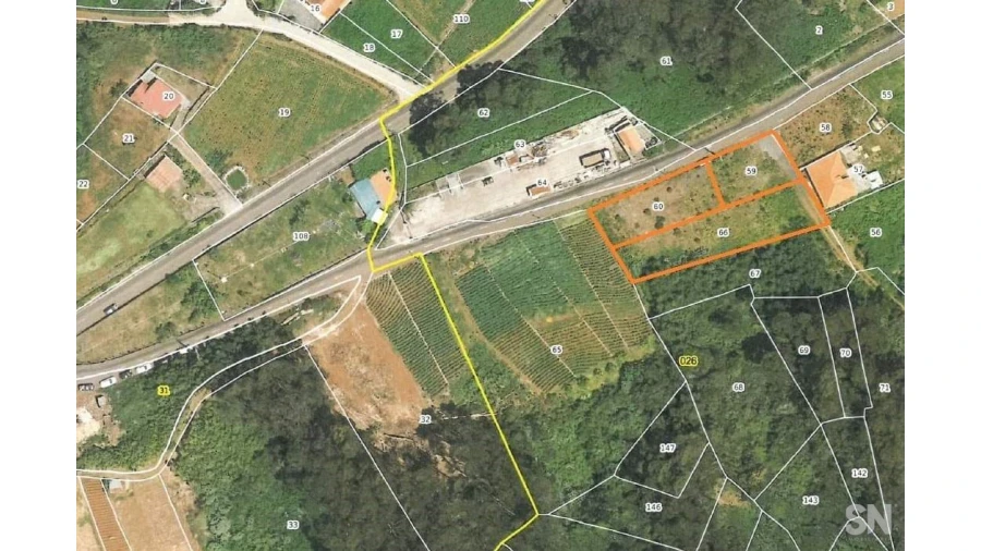 Terreno para Venda em São Jorge Foto 6