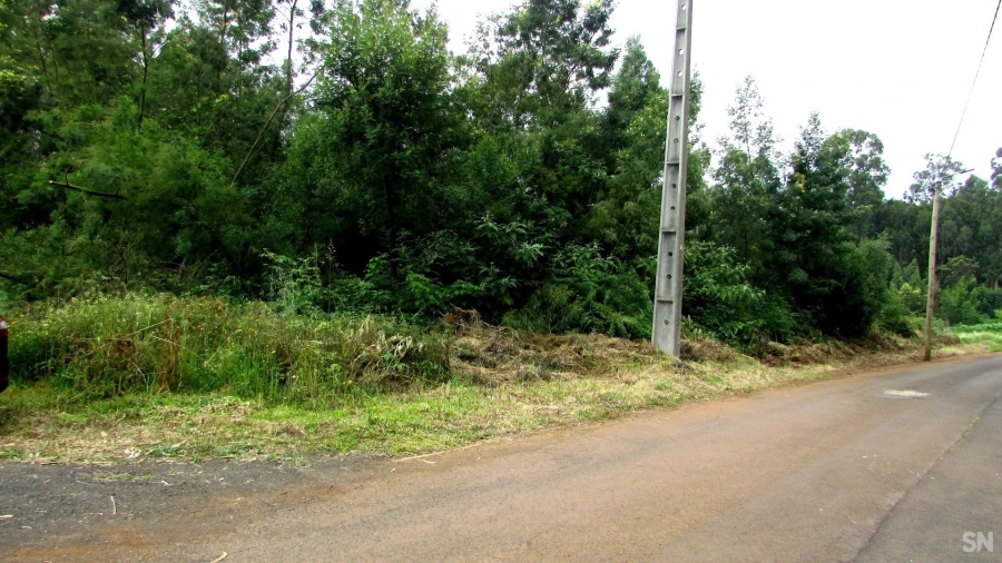 Terreno para Venda em São Jorge Foto 8