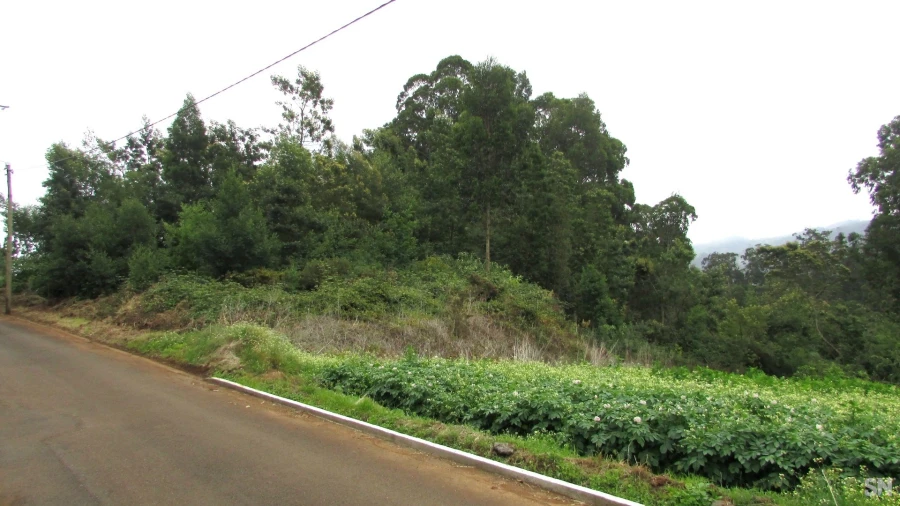 Terreno para Venda em São Jorge Foto 4