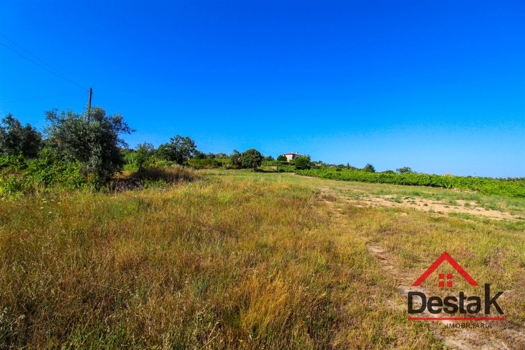 Moradia T3 para Venda em Silgueiros Foto 7