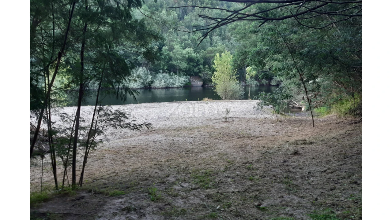 Terreno para Venda em Oliveira do Hospital e São Paio de Gramaços Foto 2