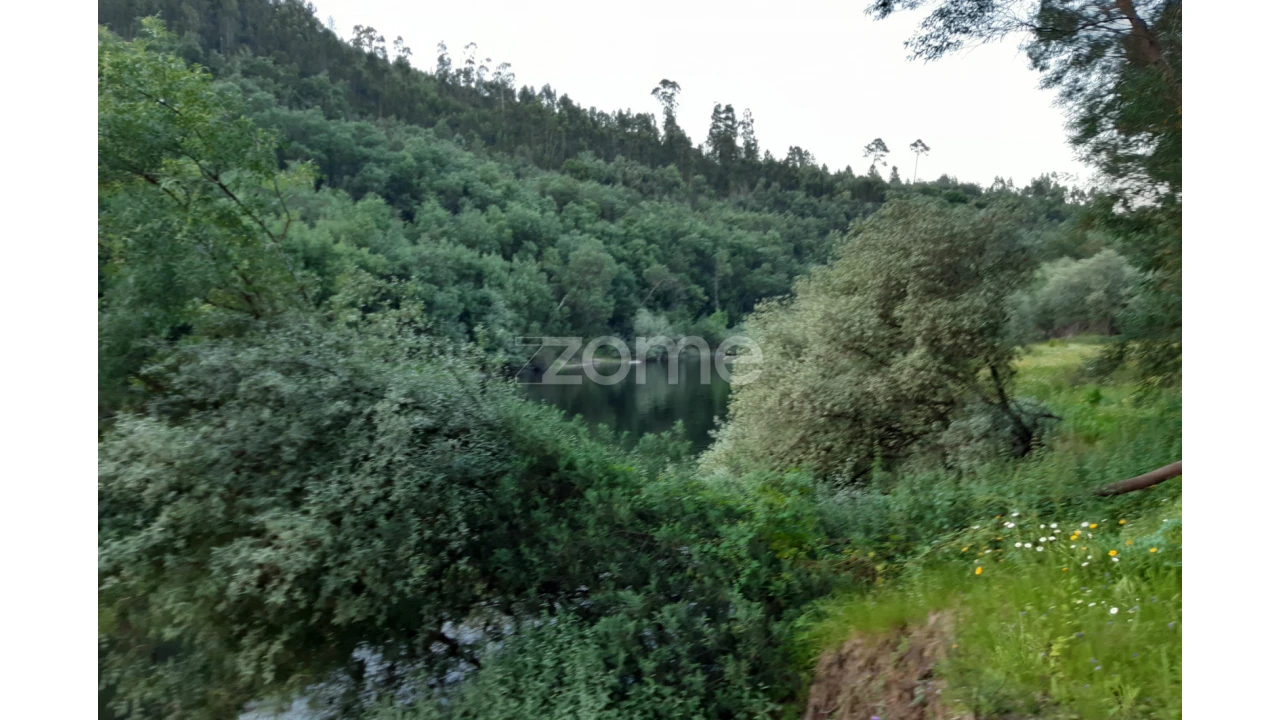 Terreno para Venda em Oliveira do Hospital e São Paio de Gramaços Foto 4