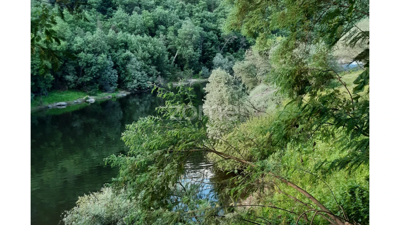 Terreno para Venda em Oliveira do Hospital e São Paio de Gramaços Foto 6