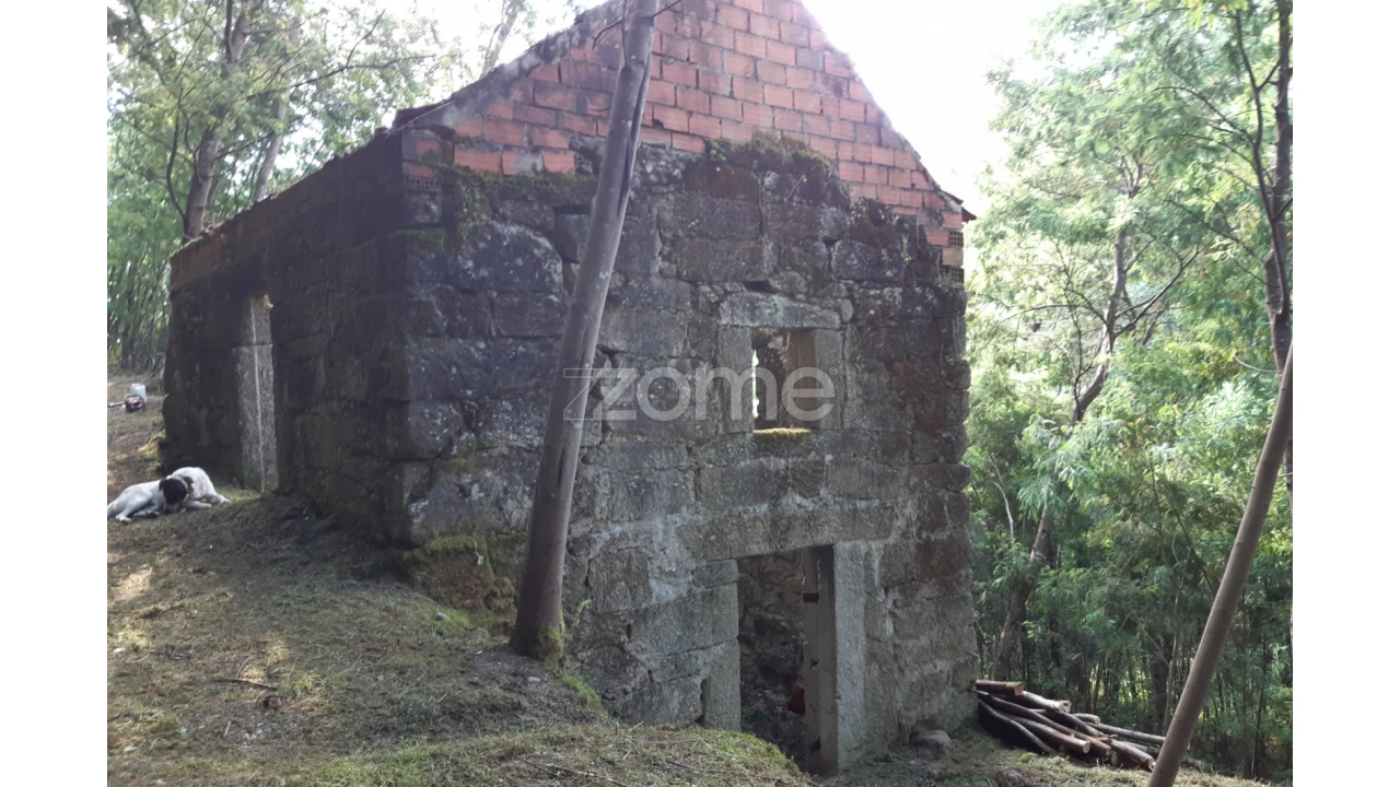 Terreno para Venda em Oliveira do Hospital e São Paio de Gramaços Foto 3