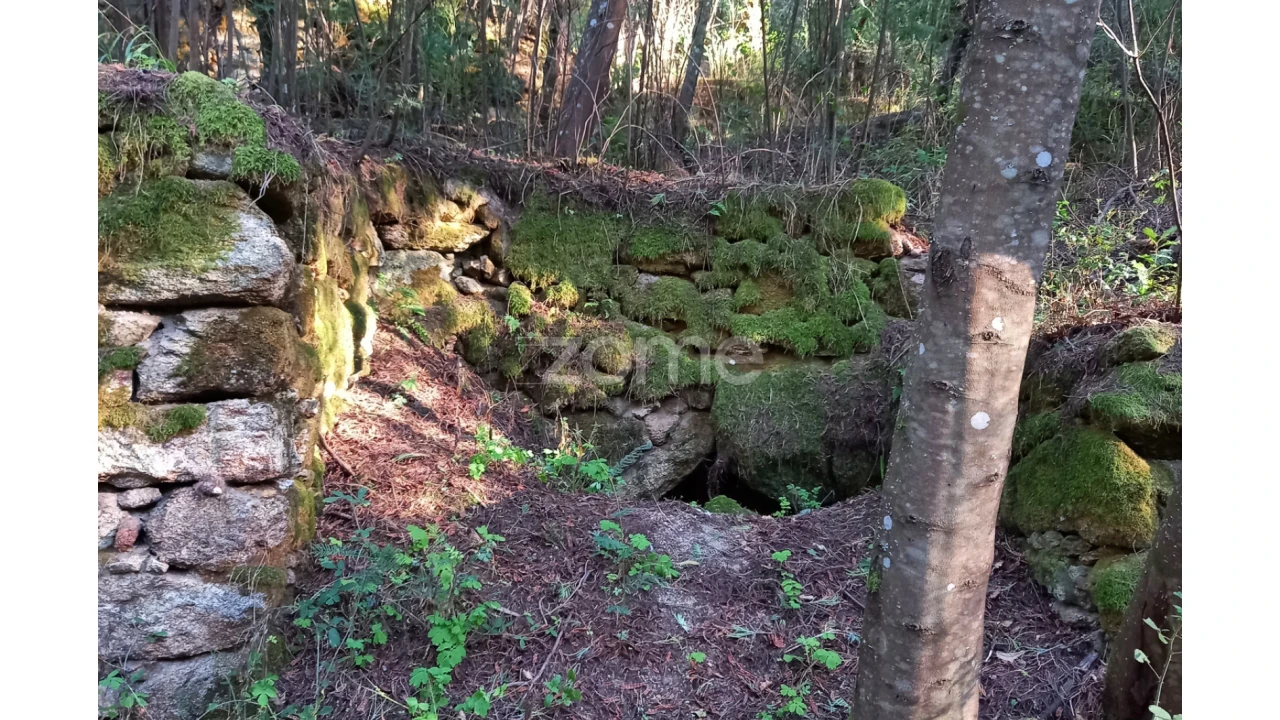Terreno para Venda em Oliveira do Hospital e São Paio de Gramaços Foto 14