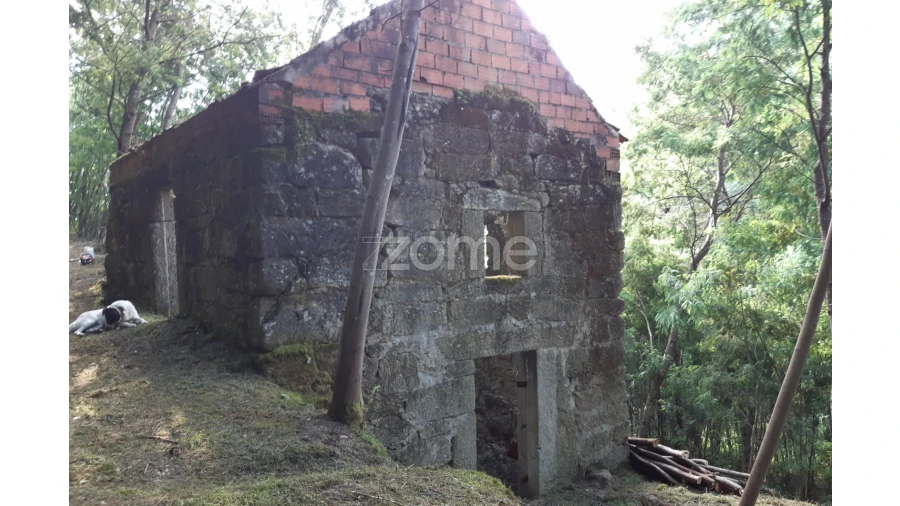 Terreno para Venda em Oliveira do Hospital e São Paio de Gramaços Foto 3
