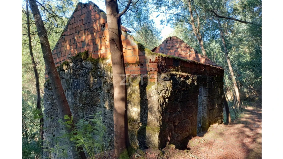 Terreno para Venda em Oliveira do Hospital e São Paio de Gramaços Foto 8