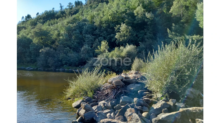 Terreno para Venda em Oliveira do Hospital e São Paio de Gramaços Foto 9
