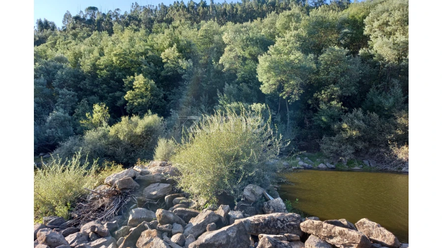Terreno para Venda em Oliveira do Hospital e São Paio de Gramaços Foto 10