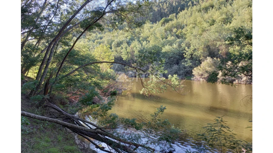 Terreno para Venda em Oliveira do Hospital e São Paio de Gramaços Foto 12