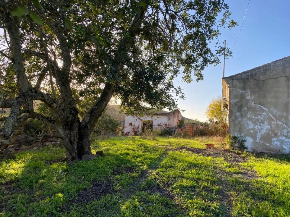 Terreno Misto para Venda em São Brás de Alportel Foto 3