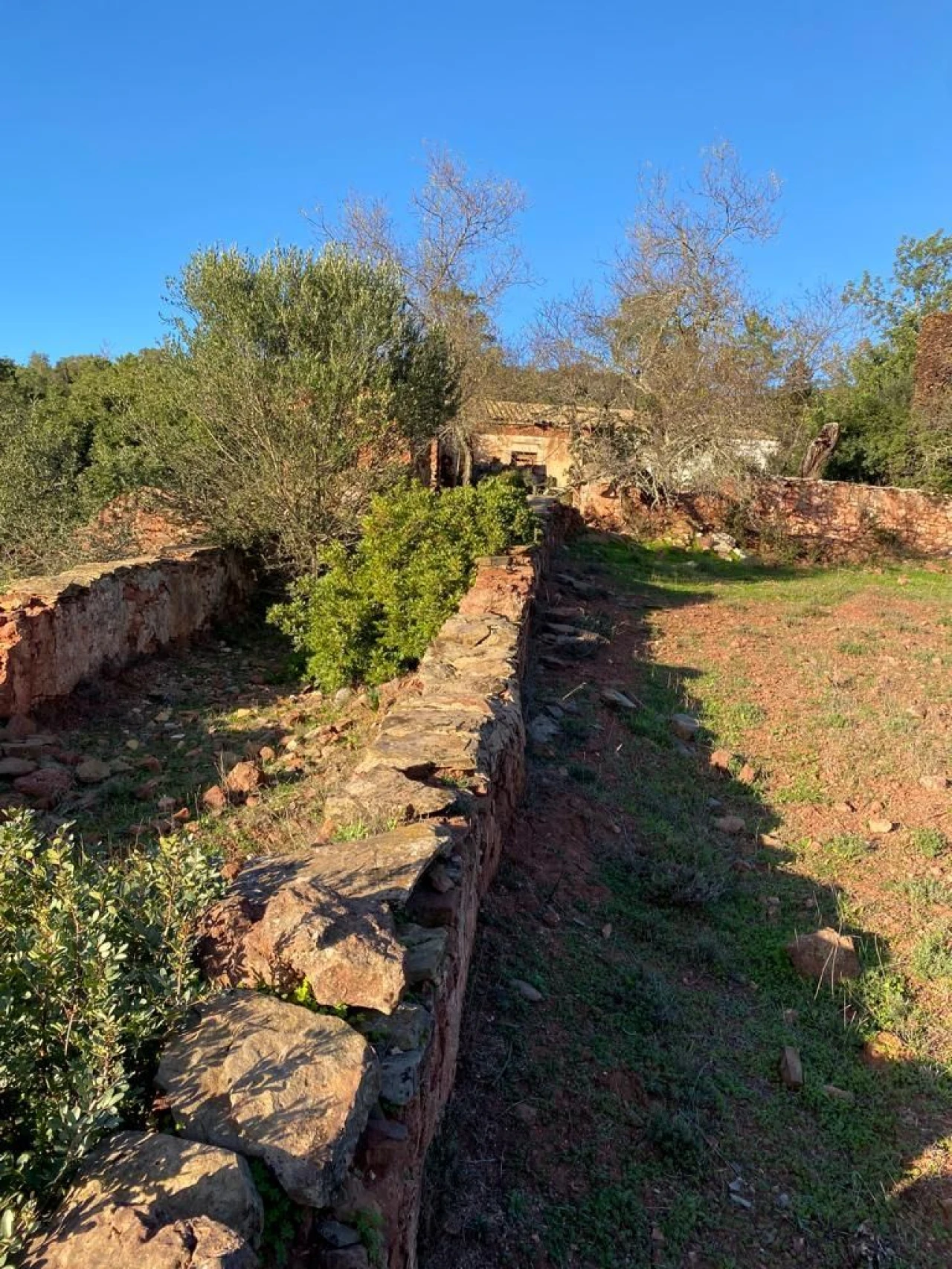 Terreno Misto para Venda em São Brás de Alportel Foto 6